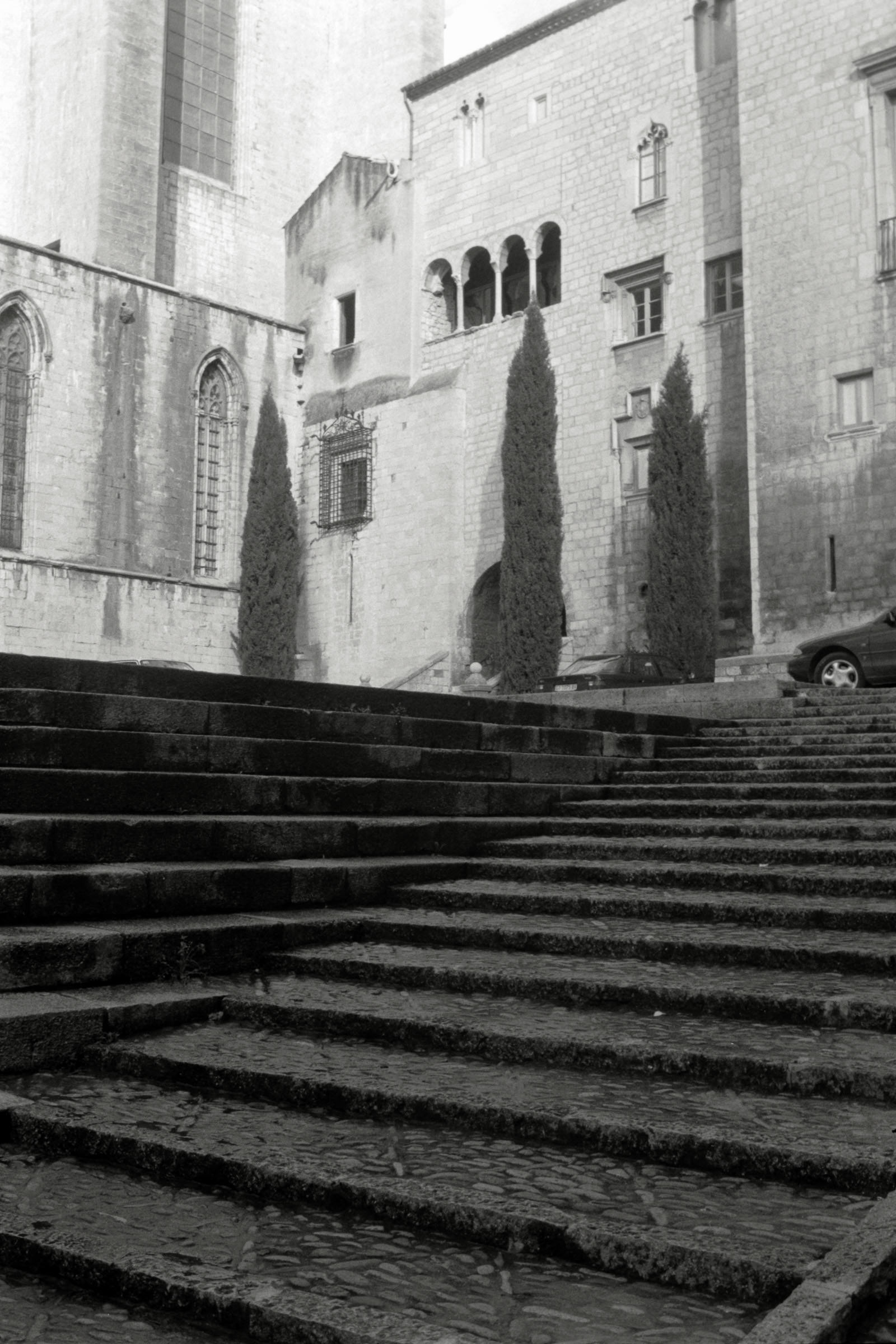 AHP F1996 02 001 sc240816 img27 NLP